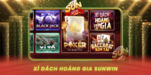 Kham Pha Xi Dach Hoang Gia Dinh Cao Trai Nghiem Tai Sunwin