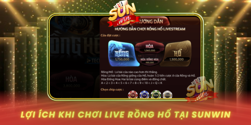 Khám Phá Live Rồng Hổ - Trải Nghiệm Cá Cược Đỉnh Cao 2026 3 Loi Ich Khi Choi Live Rong Ho Tai Sunwin